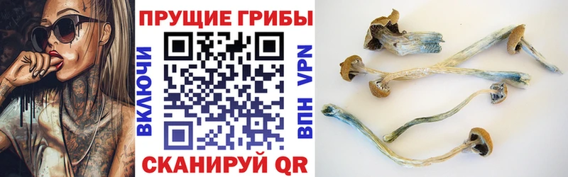 магазин продажи Нижние Серги Галлюциногенные грибы GOLDEN TEACHER